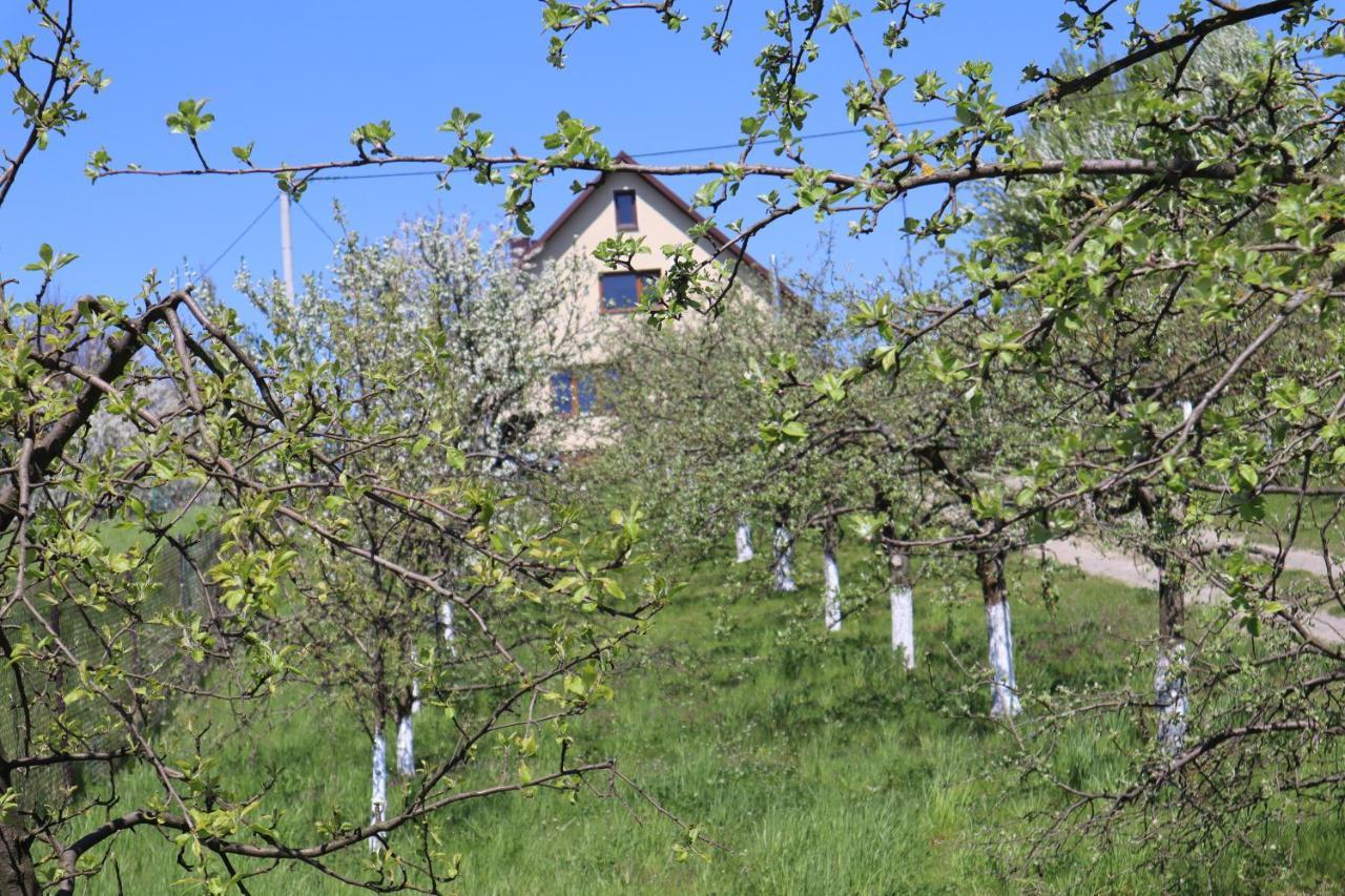 Fratole Villa Nielisz Exterior photo